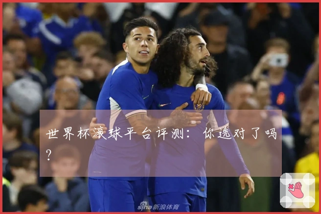 世界杯滚球平台评测：你选对了吗？