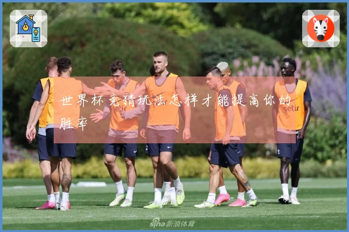 世界杯竞猜玩法怎样才能提高你的胜率
