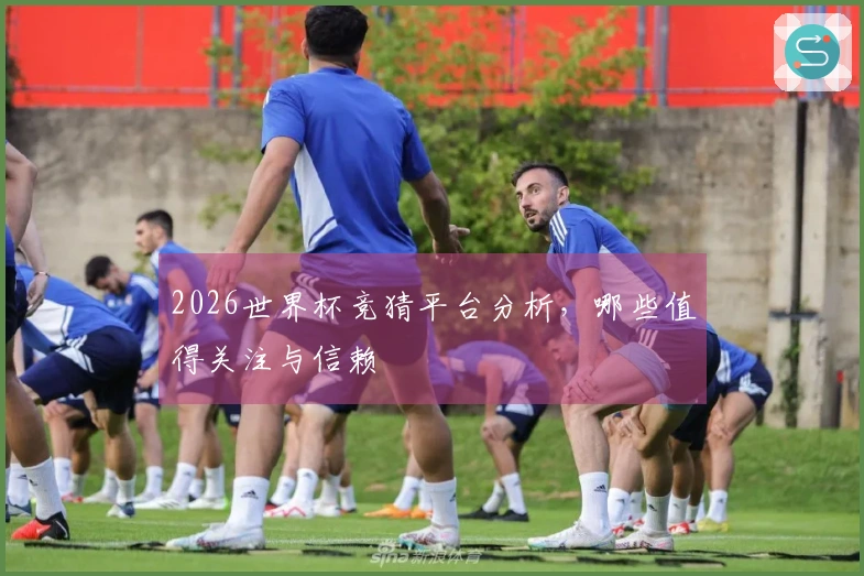 2026世界杯竞猜平台分析，哪些值得关注与信赖