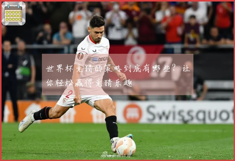 世界杯竞猜的策略到底有哪些？让你轻松赢得竞猜乐趣