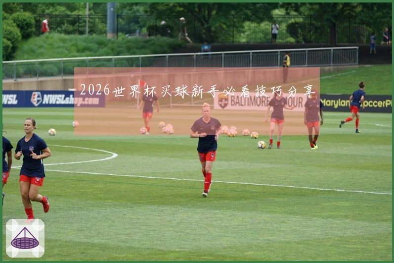 2026世界杯买球新手必看技巧分享