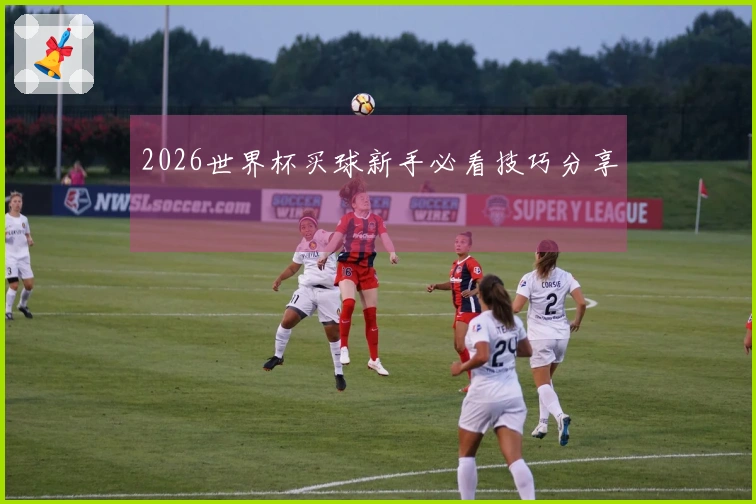 2026世界杯买球新手必看技巧分享