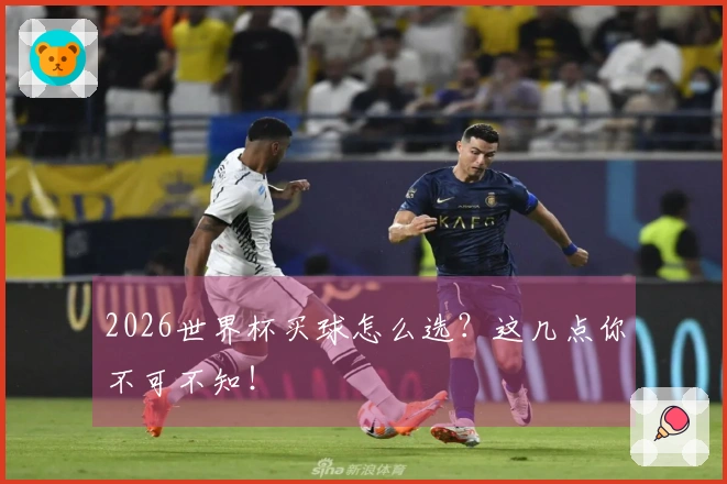 2026世界杯买球怎么选？这几点你不可不知！