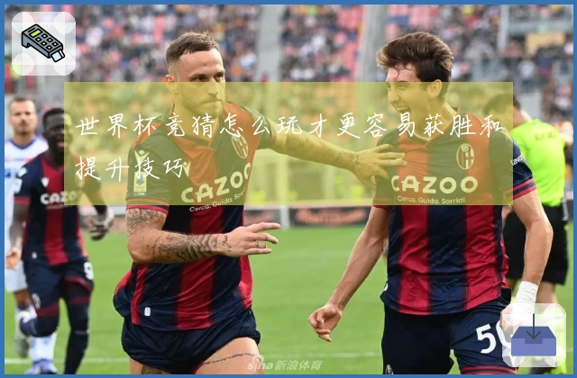 世界杯竞猜怎么玩才更容易获胜和提升技巧