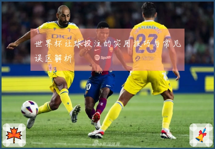 世界杯让球投注的实用技巧与常见误区解析